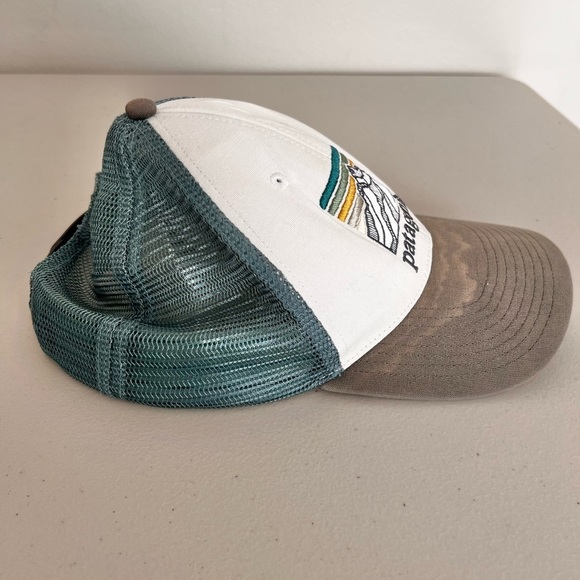 Patagonia Men’s  Line Logo Ridge Lopro Trucker Hat - Picture 3 of 5